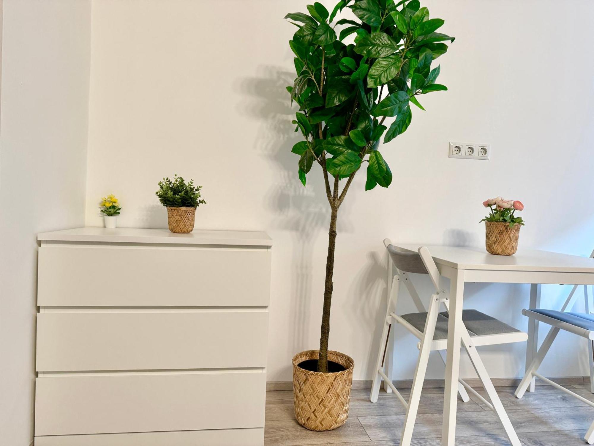 Stylish Schonbrunn Apartments With Free Parking Vienna Esterno foto